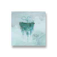 Read Collide Records Reviews